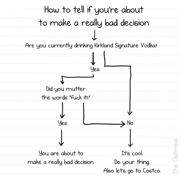 Am I About to Make a Bad Decision Flowchart OMG Infographics